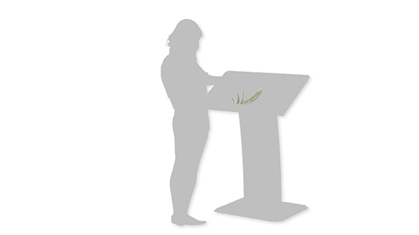 Website Programmierung